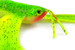 Guma Fox Rage Mega Craw